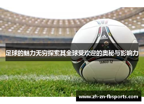 足球的魅力无穷探索其全球受欢迎的奥秘与影响力