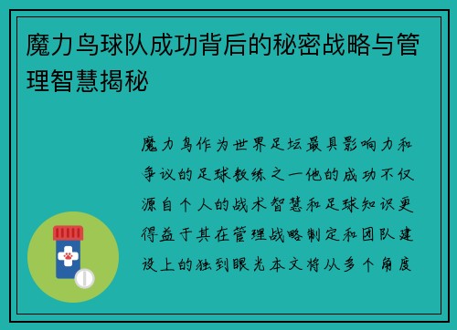 魔力鸟球队成功背后的秘密战略与管理智慧揭秘